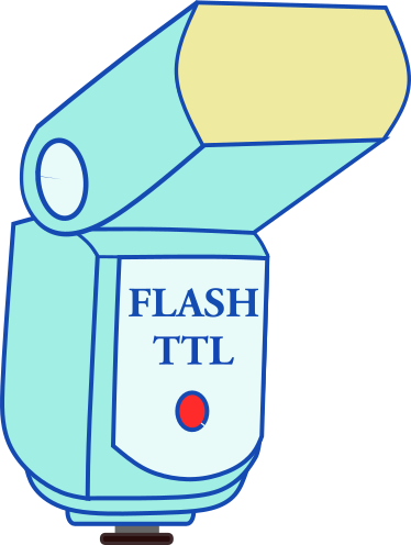 Flash